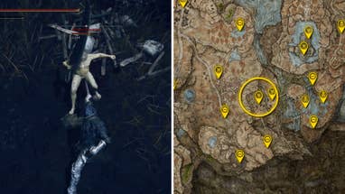 Two Elden Ring: Shadow Of The Erdtree screenshots side by side. Left: a screenshot of the player fighting the Greater Potentate boss. Right: the location of that boss on the map.