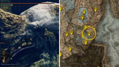 Two Elden Ring: Shadow Of The Erdtree screenshots side by side. Left: a screenshot of the player fighting the Hippopotamus boss. Right: the location of that boss on the map.